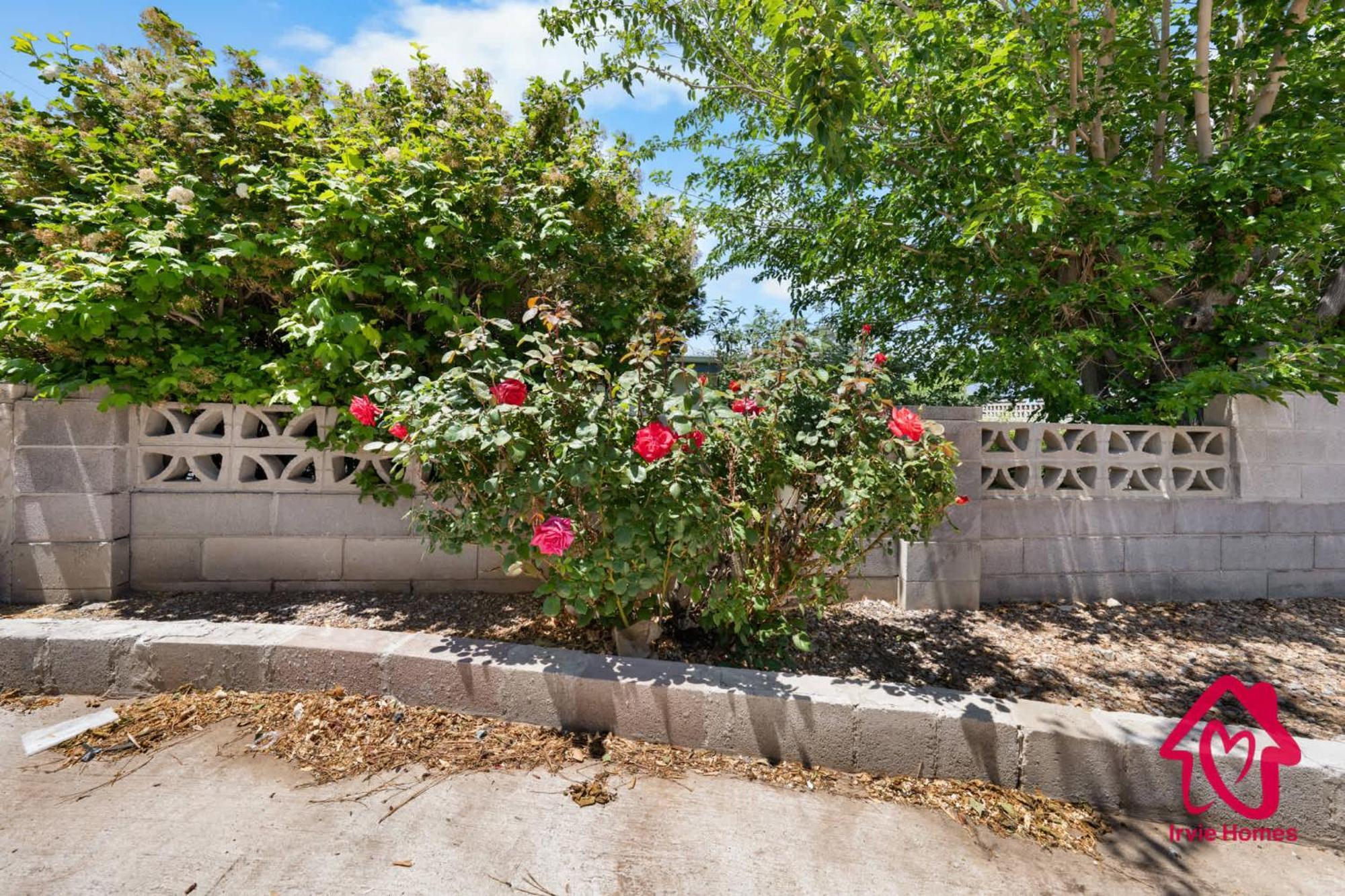 Chapala Charm 6Br Family Oasis - An Irvie Home Albuquerque Exterior foto